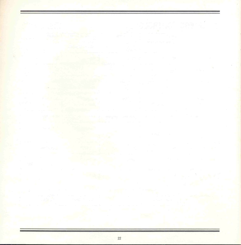 Alter Ego Manual Page 22