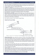 Gunship manual page 31