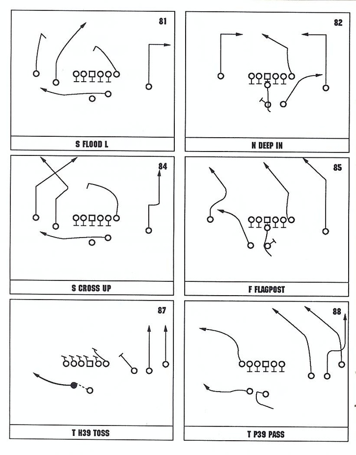 usa-softball-playbook-ricenf