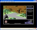 The Last Ninja screen shot 3