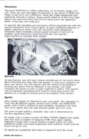 Might and Magic II manual page 33
