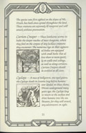 Ultima I manual page 21