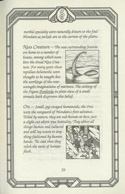 Ultima I manual page 29