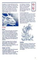 DragonStrike manual page 10