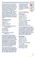 DragonStrike manual page 24
