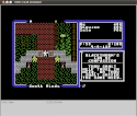 Ultima V: Warriors of Destiny screen shot 5