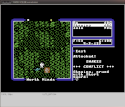 Ultima V: Warriors of Destiny screen shot 6