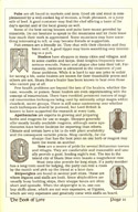 Ultima V: Warriors of Destiny The Book of Lore page 11